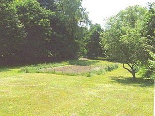 Kcourt profile photo