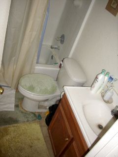 crosslamb profile photo