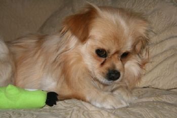 angelic84 profile photo