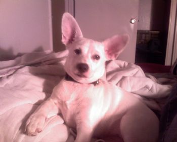 Chris1646 profile photo