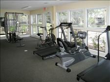 kgirl500 profile photo