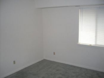 evolowe profile photo