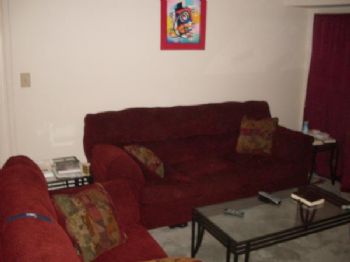 evolowe profile photo