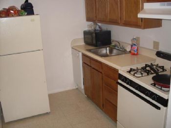 evolowe profile photo