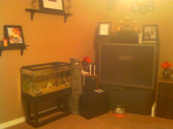 krista61084 profile photo