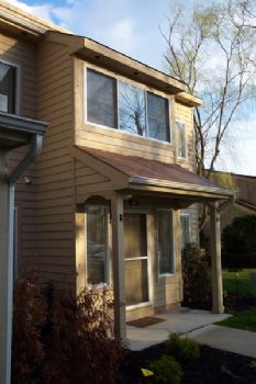 trentopia profile photo