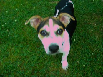 beaudin4134 profile photo