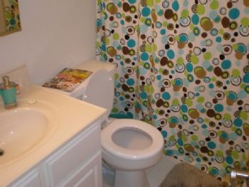 zardchick profile photo