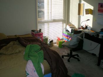 zardchick profile photo