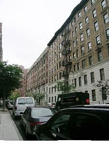 davmike profile photo