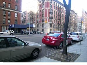 davmike profile photo