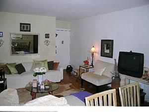 davmike profile photo