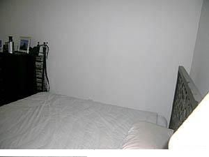 davmike profile photo