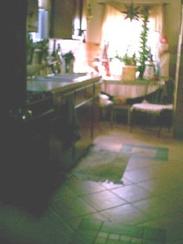 carmenD profile photo