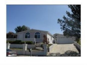 junior8503 profile photo