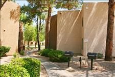 aliced profile photo