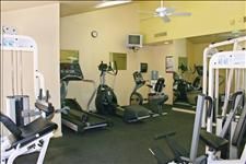 aliced profile photo