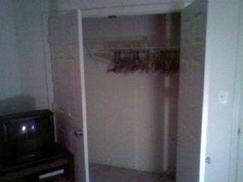 nelly38 profile photo