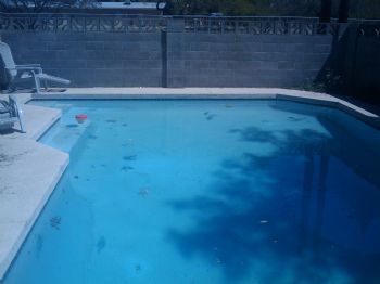 scskater360 profile photo