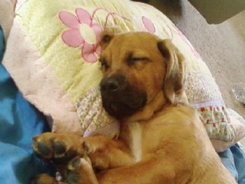 molliejean profile photo