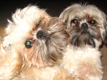 jeffdowntown profile photo