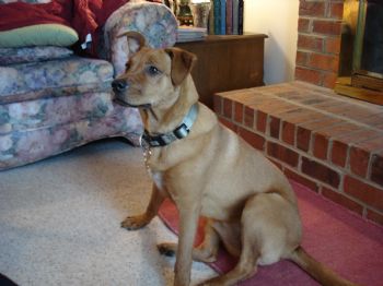 KESHEETZ profile photo