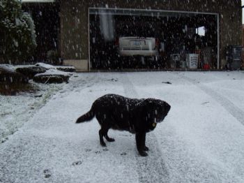 judynicky profile photo