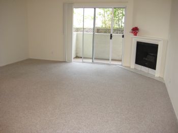 staydavies profile photo