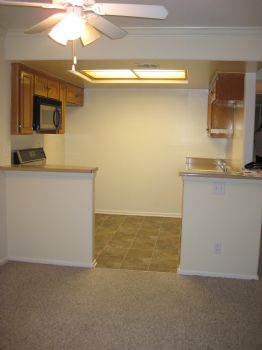 staydavies profile photo