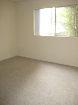 staydavies profile photo