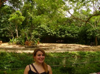 stef86 profile photo