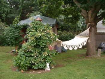 w888place profile photo