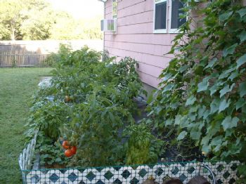 w888place profile photo