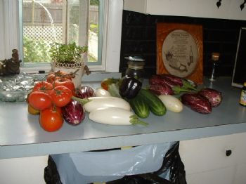 w888place profile photo