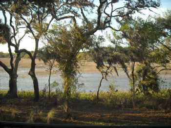 HiltonHead profile photo