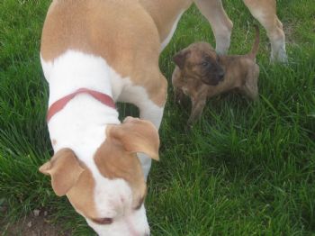 7achary profile photo