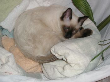 AshLeyB84 profile photo