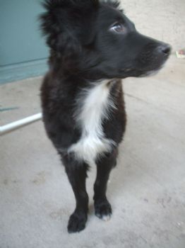 batboy3 profile photo