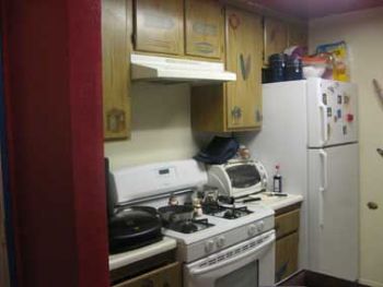 Alineedsaroo profile photo