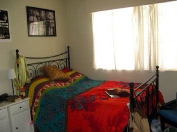 Alineedsaroo profile photo