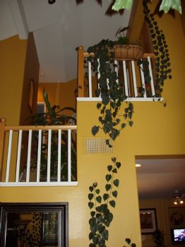 Eschauer profile photo