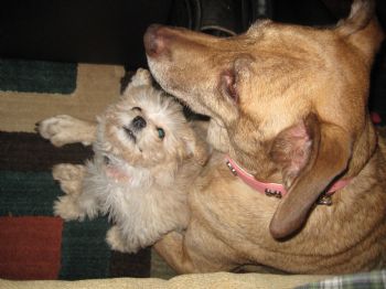 jonathons2 profile photo