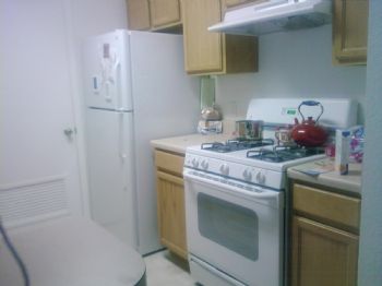 CamilleA profile photo