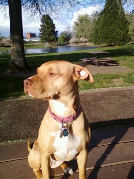 that1guy profile photo