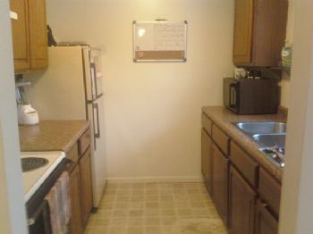 delphi1981 profile photo