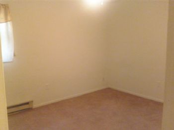 delphi1981 profile photo