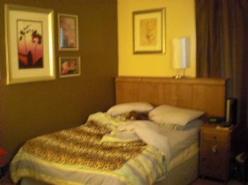 linzyfish profile photo