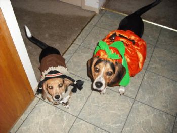 jmonica9113 profile photo