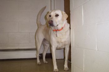 jayster66 profile photo