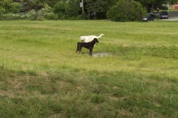 jayster66 profile photo